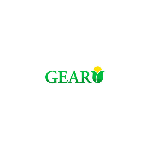 Gear S.A.